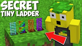 I found SUPER TINY SECRET LADDER in Minecraft ! WHERE DO THESE MINI PASSAGES LEAD ?