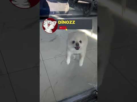 iLK DEFA DIŞARI