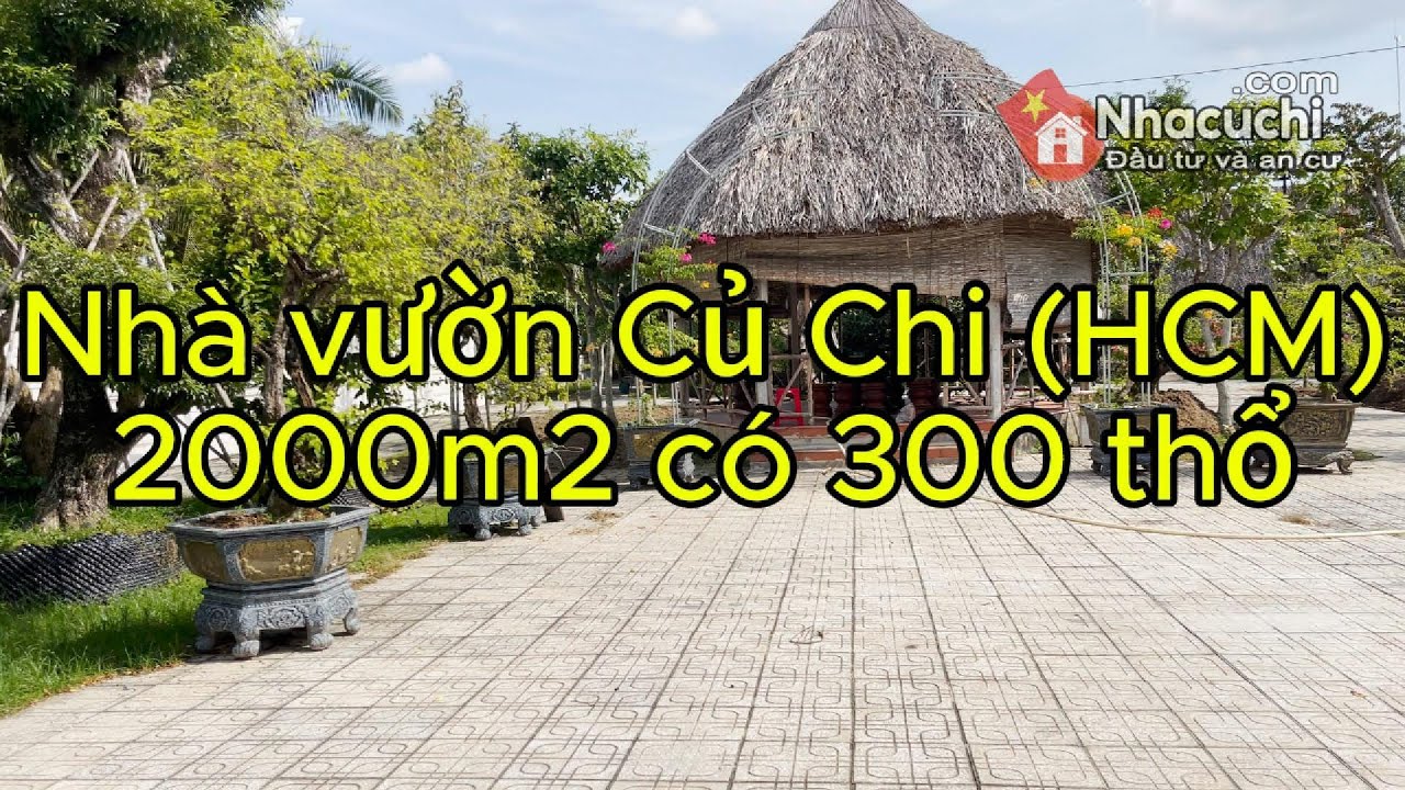 2000m2 NHÀ VƯỜN CỦ CHI HỒ CHÍ MINH | ĐẤT VƯỜN CỦ CHI CÓ SẴN THỔ CƯ ĐÃ XÂY SẴN NHÀ #nhadatcuchi