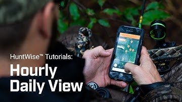 HuntWise Tutorial: Daily View
