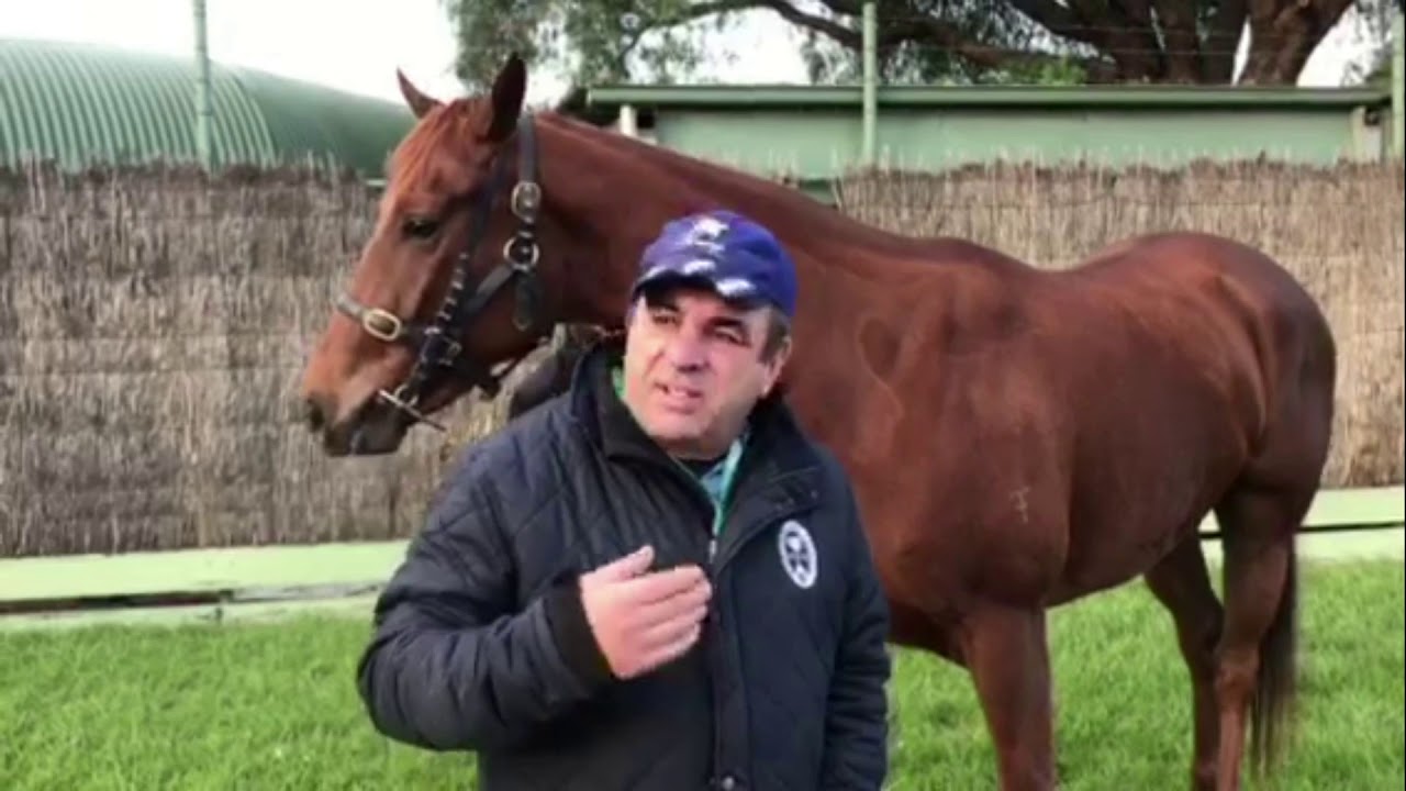 Tim Kavanagh Racing Kavanagh Racing Weekly Update 11-6 - YouTube