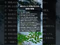 嘘みたいに不安が軽減される最強の習慣12選 #人間関係 #言葉 #自己啓発 #お金 #習慣