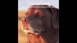 14 avril 2026