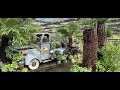 An early afternoon visit to the Summerhill garden centre, 4 September 2025