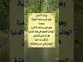 قولوا آمين     كلام من ذهب    اكسبلور