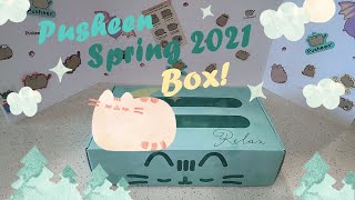 ☂️ Pusheen Spring 2021 Subscription Box Unboxing!