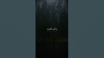 هو الذي انزل السكينة في قلوب المؤمنين | محمد صديق المنشاوي | سورة الفتح