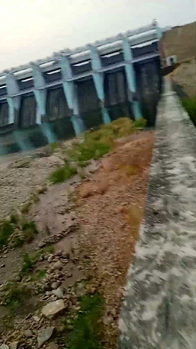 Ti khali dam video