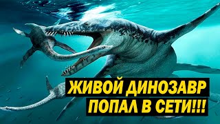 ЖИВОЙ ДИНОЗАВР ПОПАЛ В СЕТИ!!!