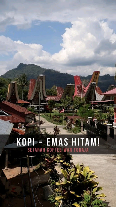 Sejarah Perang Kopi Toraja (3/6) Kopi Dianggap 'Emas Hitam'! Suleman Miting - Kaa Coffee Toraja