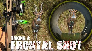 Taking A Frontal Shot With A Bow... | African Bushbuck vs BEAST Broadhead |