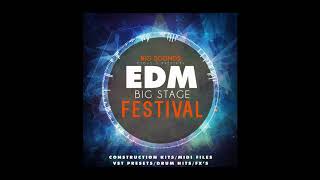 EDM Samples Big Sounds EDM Big Stage Festival