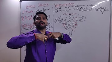 II PUC BIOLOGY-HUMAN REPRODUCTION Part 15  Lecture by Mr.Sunil Chittal