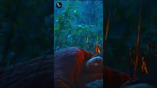 Heavy Rain on Leaves & Gentle Thunder #frogsounds #birdsounds #cricketsounds