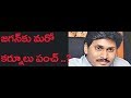 3 YSRCP MLAs from Kurnool ready to join TDP?