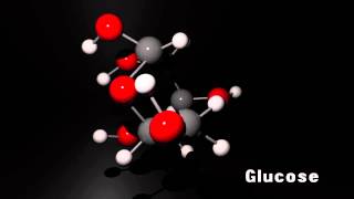 3D molecules in Maya