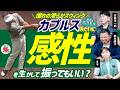 アマチュアもカプルスのように感性を生かして振っていい?＜もやもやFile.11＞勝手にGD
