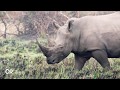 Ziwa Rhino Sanctuary Wetland Area