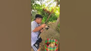 Đi câu cá để quên ghế và cái kết | Sinl #shorts