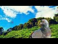 Harshit Whatsapp Status Video Download Free