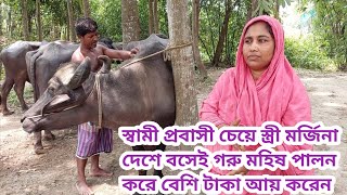 @স্বামীর প্রবাসীর চেয়ে বউ মর্জিনা বেশি টাকা ইনকাম করেন  গরু মহিষ পালন করে কিভাবে জানুন বিস্তারিত