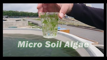 BSC method to protect slope against soil erosion and accelerate vegetation recovery