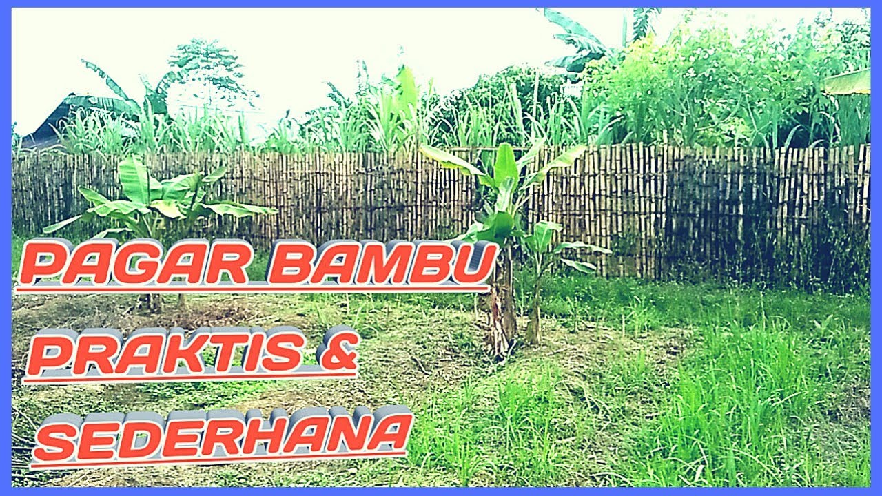  Pagar Bambu Murah  Sederhana YouTube