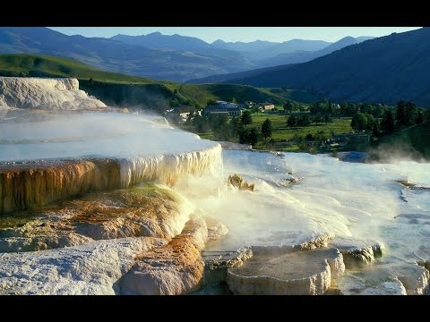 Videó: A Yellowstone Nemzeti Park Turistái Panaszkodnak, Hogy Nem Látnak Medvék
