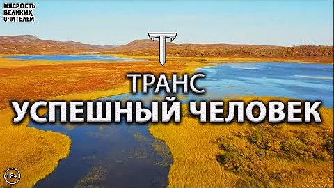 Чем успешный человек отличается от идиота | ТРАНС ПРОСВЕТЛЕНИЯ