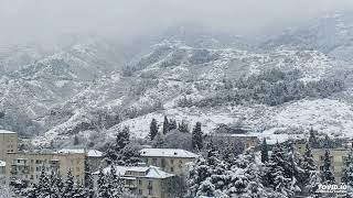 Hamlet Gonashvili - Snow