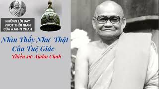 Thấy Như Thật Của Tuệ Giác-Thiền Sư Ajahn Chah