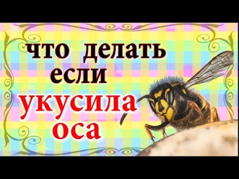 Что делать если