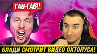 видео: БЛАДИ В ШОКЕ ОТ ДЖОВА - Реакция На Видео Октопуса! картинка: БЛАДИ В ШОКЕ ОТ ДЖОВА - Реакция На Видео Октопуса!