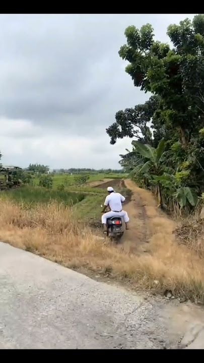 Orang berdandan mirip KDM naik motor boncengan jatuh ke sawah.Source IG bandung speak.#jabar #kdm