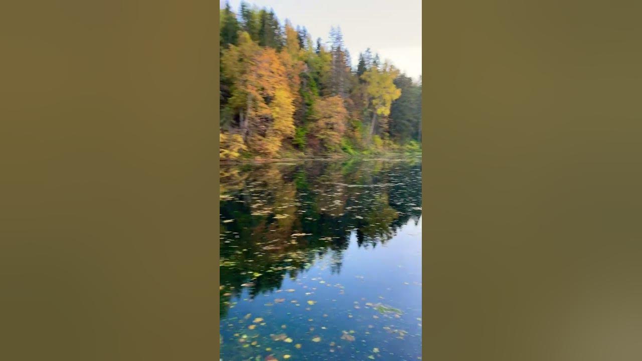 Радоновое озеро Сестрорецк