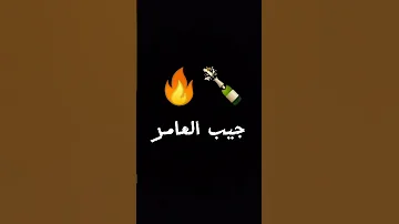 او جيب العامر 