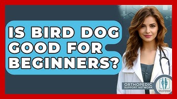 Is Bird Dog Good For Beginners? - Orthopedic Support Network