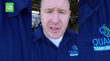 Brett Knows Sampling Errors