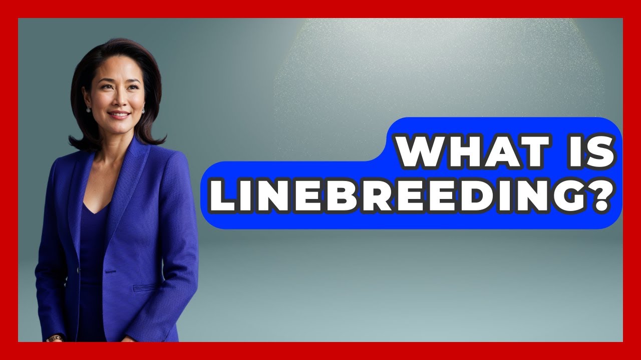 What Is Linebreeding? - The Horses Stable