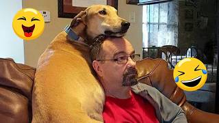 I dare you not to LAUGH at these FUNNY DOGS 😁🦮 - Best Funny Animals Videos 2026 #295