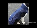 Winter Coloured Dog Coat - All-Weather Protection, Windproof, Waterproof Cozy Fleece Lining,