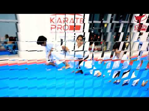 Karate Pro Martial Arts And Fitness Academy In Dubai