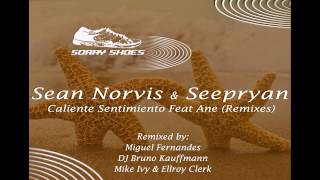 Sean Norvis & Seepryan - Sentimiento ft. Ane | Mike Ivy & Ellroy Clerk Remix