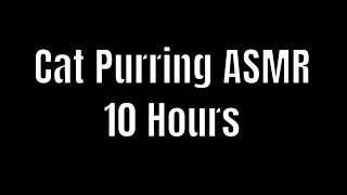 Cat Purring Healing High-Fidelity Sound 10 Hours Black Screen | Cat Purring Sound | Cat Purring ASMR