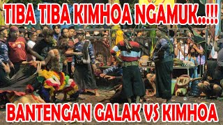 TIBA TIBA KIMHOA NGAMUK...!!! BANTENGAN GALAK VS KIMHOA ROGO SAMBOYO PUTRO LIVE SURABAYA 2022