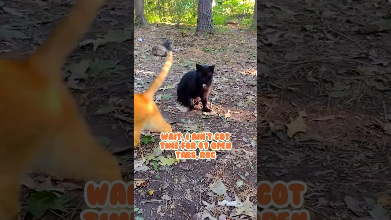 Буферизация... Пожалуйста, подождите. О, Боже, очистите свой кэш-кот!😂 