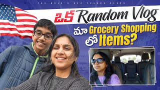 #vlog ఇది Target & Kroger shopping haul | Telugu vlogs from USA | Breakfast smoothie kitchen items