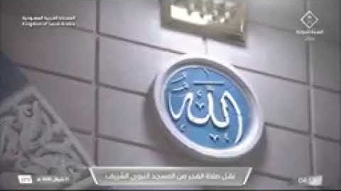 صلاة الفجر من رحاب المسجد النبوي الشّيخ أ.د. محمّد برهجي ماتيسر من سورة الزمر يوم السبت ٢١ شوال ١٤٤٦
