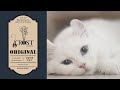 Original cat and cat crost ensemble  official