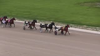 Eldorado Scioto Downs Qualifier #14  May 20, 2020